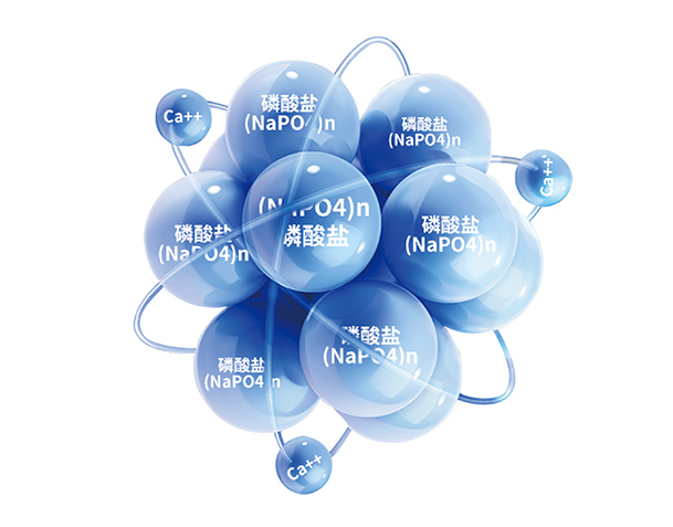 Z6·尊龙凯时「中国区」官方网站