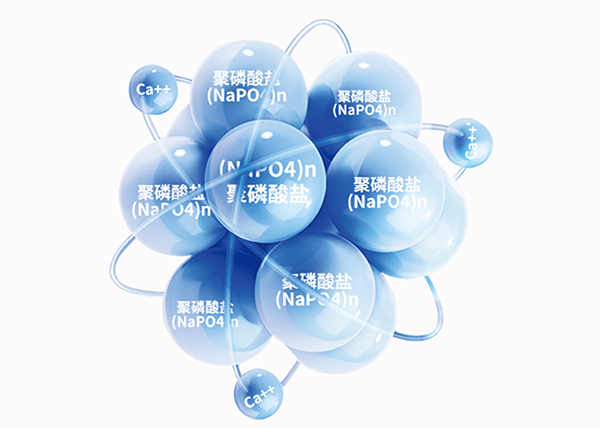 Z6·尊龙凯时「中国区」官方网站